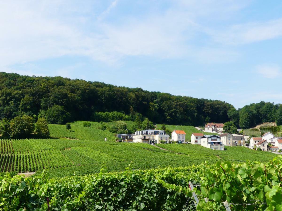 B&B En Champagne Cramant Экстерьер фото